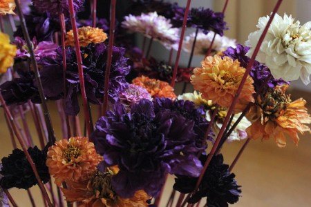 dryed dahlieas extra